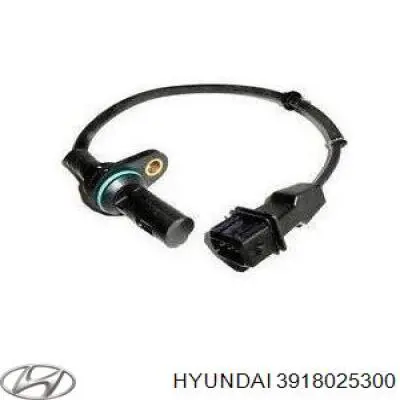 3918025300 Hyundai/Kia