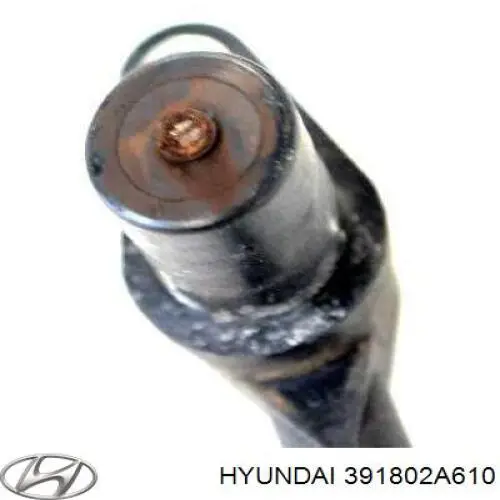 ECPHY024 NTY ДПКВ