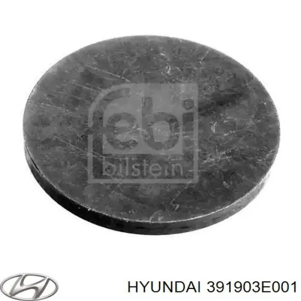  391903E001 Hyundai/Kia