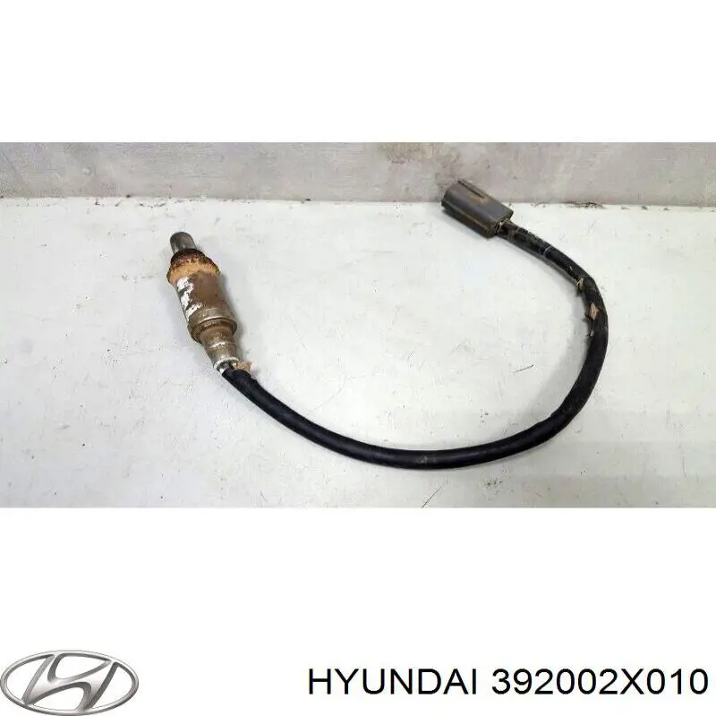  Hyundai/Kia 392002X010
