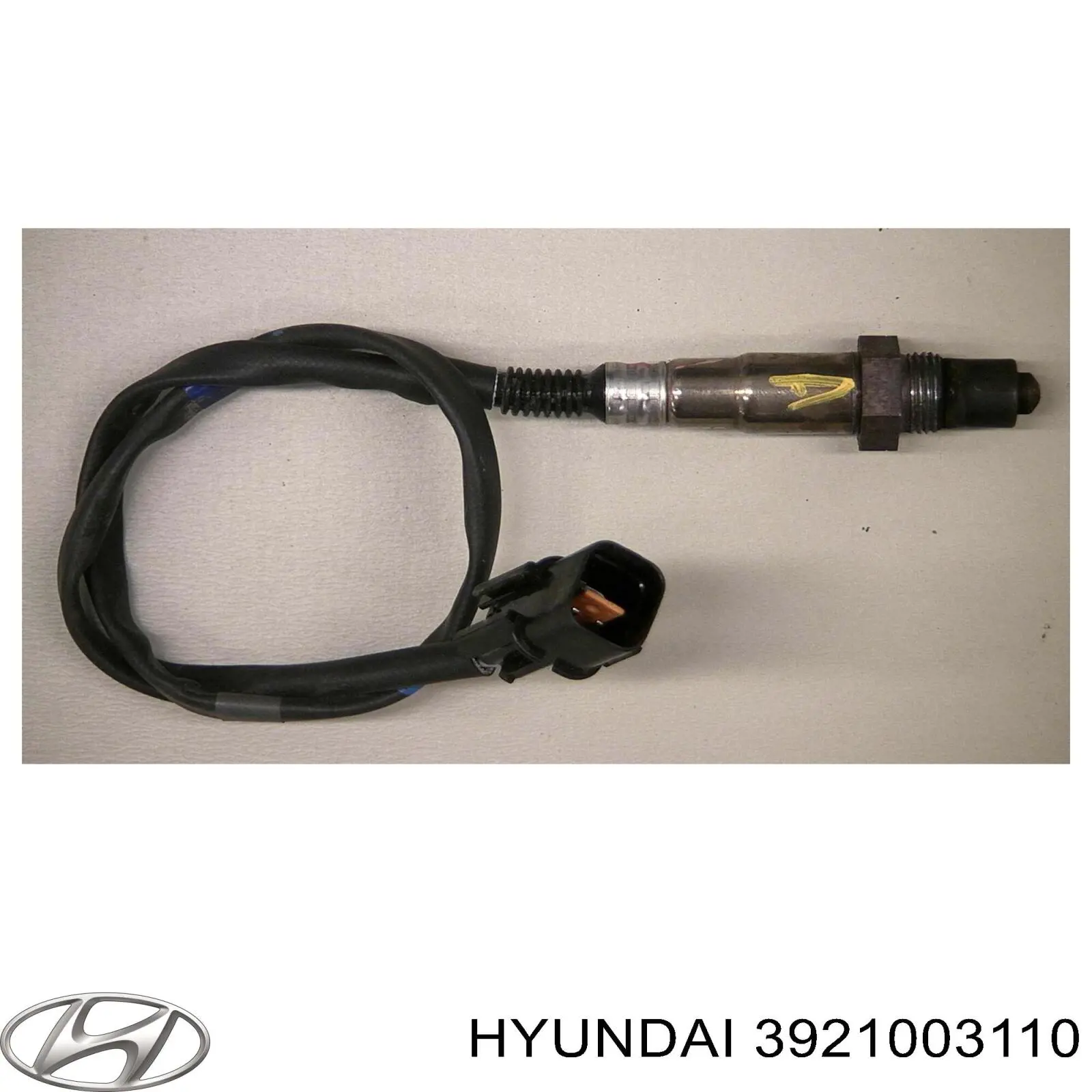  Magneti Marelli 466016355248 цена, от 40.23 USD