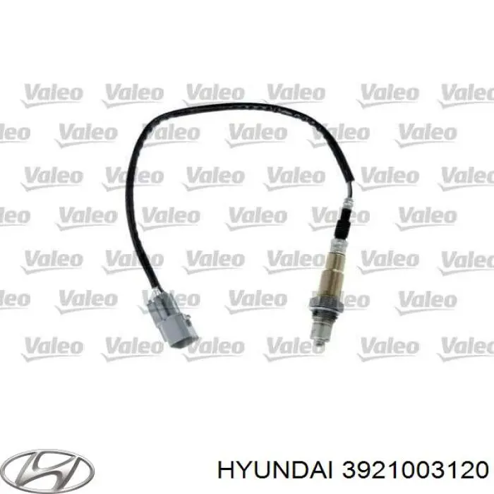 3921003120 Hyundai/Kia