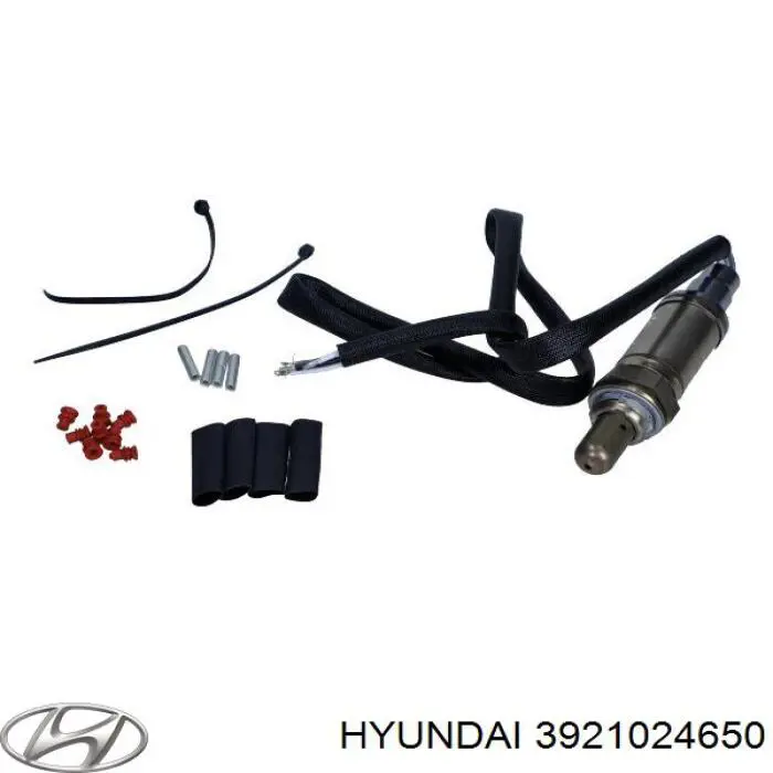 3921024650 Hyundai/Kia