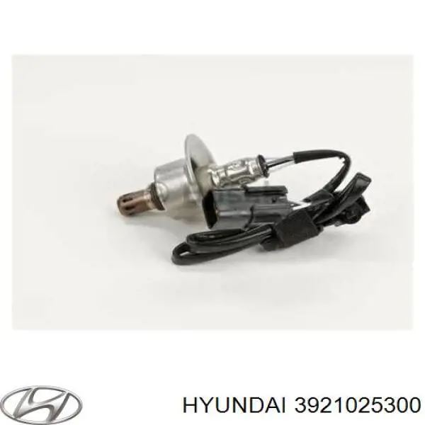 3921025300 Hyundai/Kia