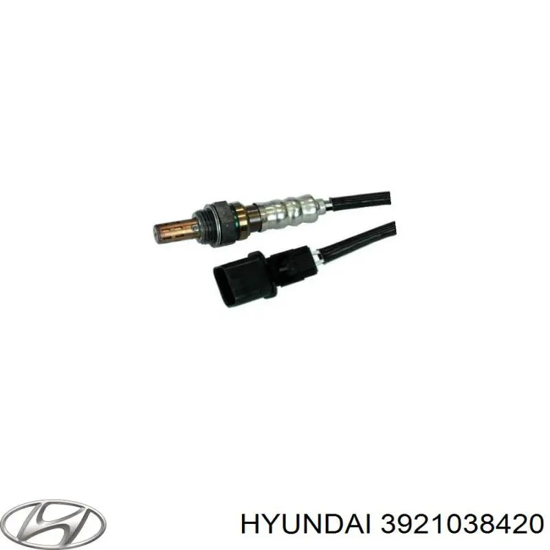  Hyundai/Kia 3921038420