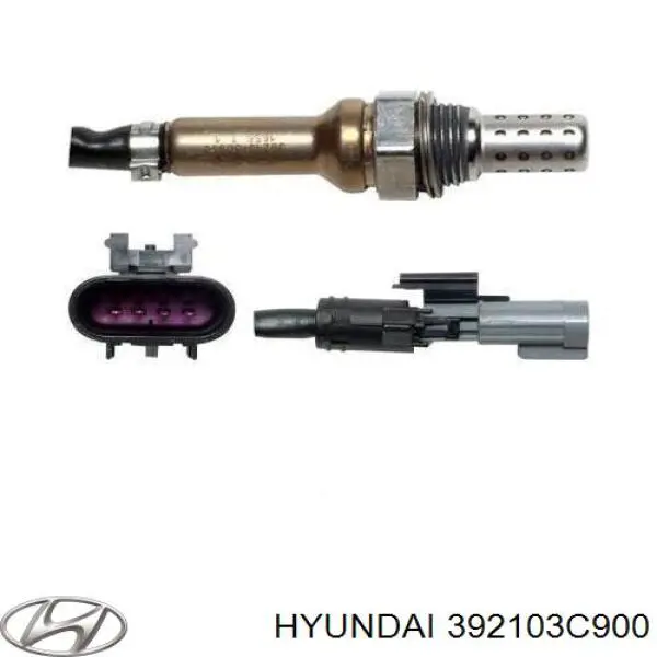  392103C900 Hyundai/Kia