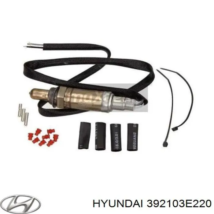  392103E120 Hyundai/Kia