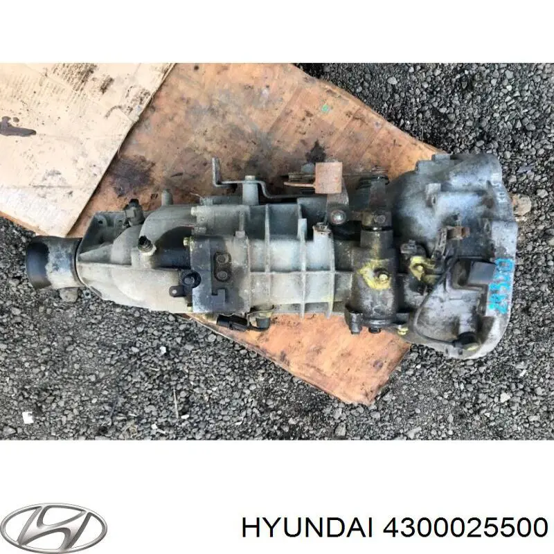  4300025500 Hyundai/Kia