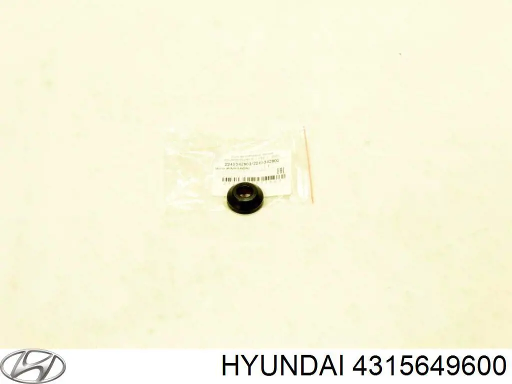  4315649601 Hyundai/Kia