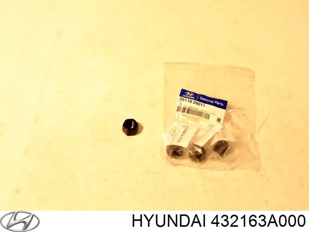 432163A000 Hyundai/Kia 