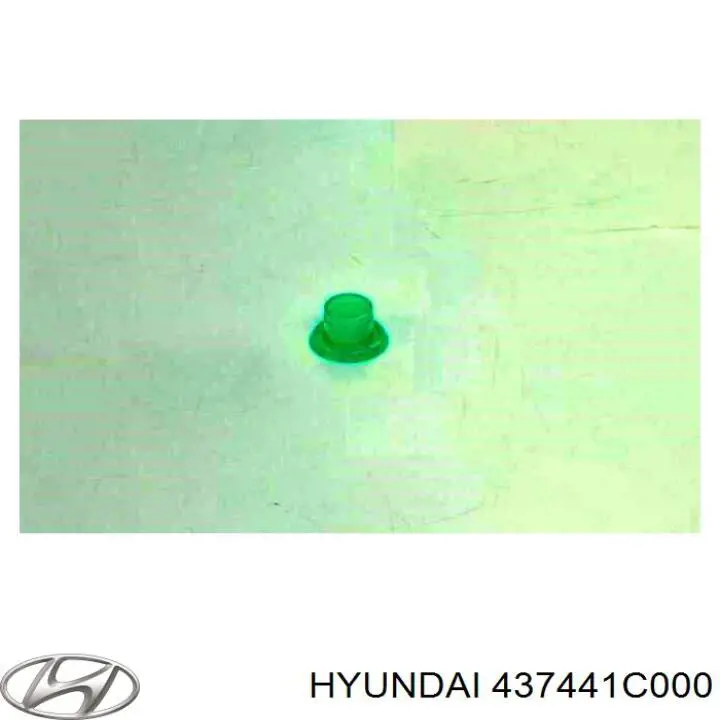 437441C000 Hyundai/Kia 