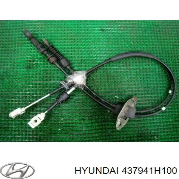 437941H100 Hyundai/Kia