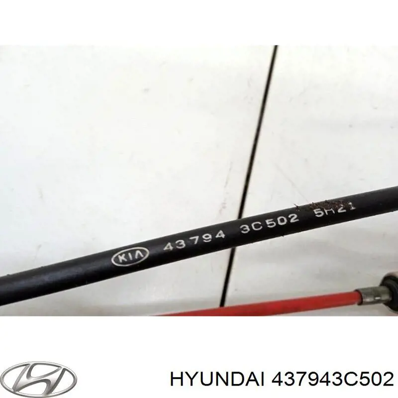  Hyundai/Kia 437943C502 цена, от 109.84 USD