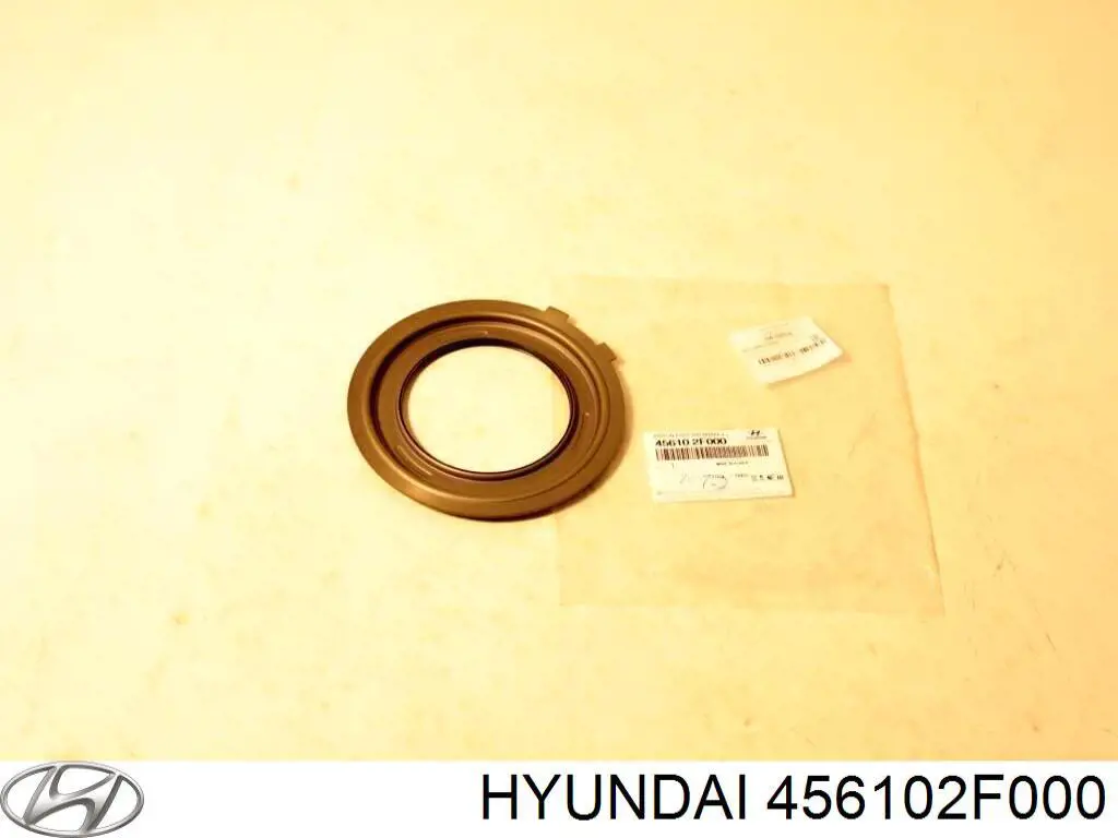 456102F000 Hyundai/Kia 