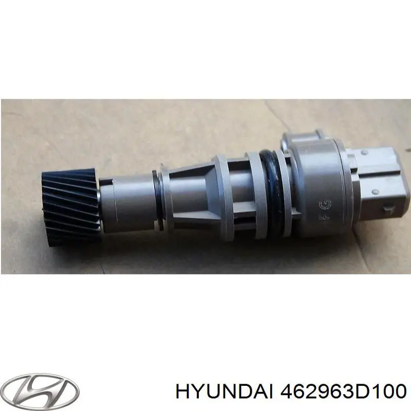  Hyundai/Kia 462963D100