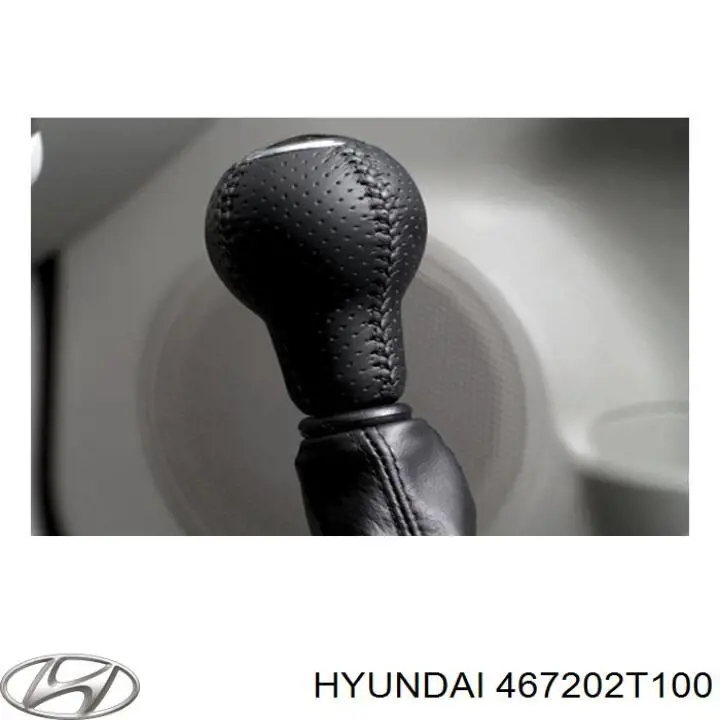 467202T100 Hyundai/Kia 