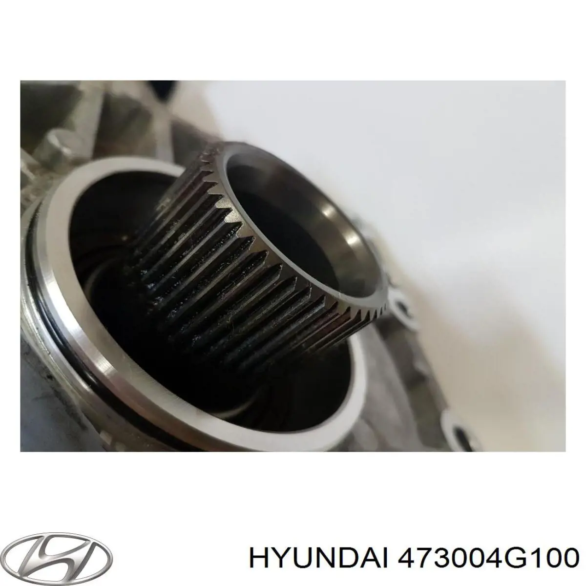 473004G100 Hyundai/Kia 
