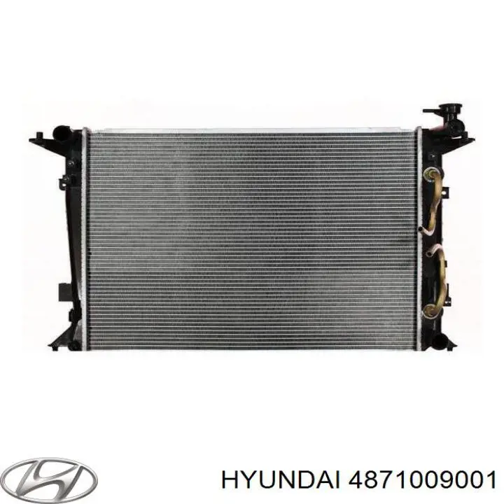 Шланг тормозной передний левый 4871009001 Hyundai/Kia