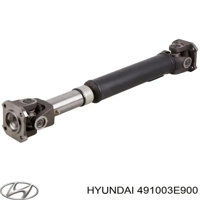 491003E900 Hyundai/Kia