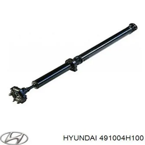  491004H100 Hyundai/Kia