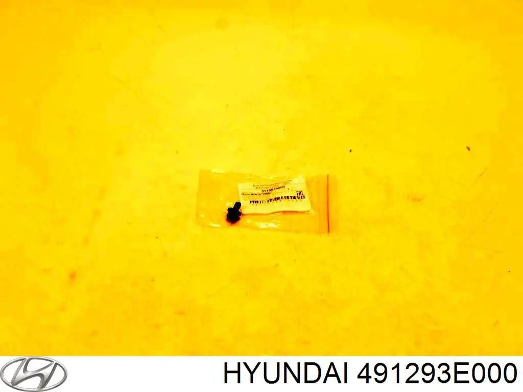 491293E000 Hyundai/Kia 