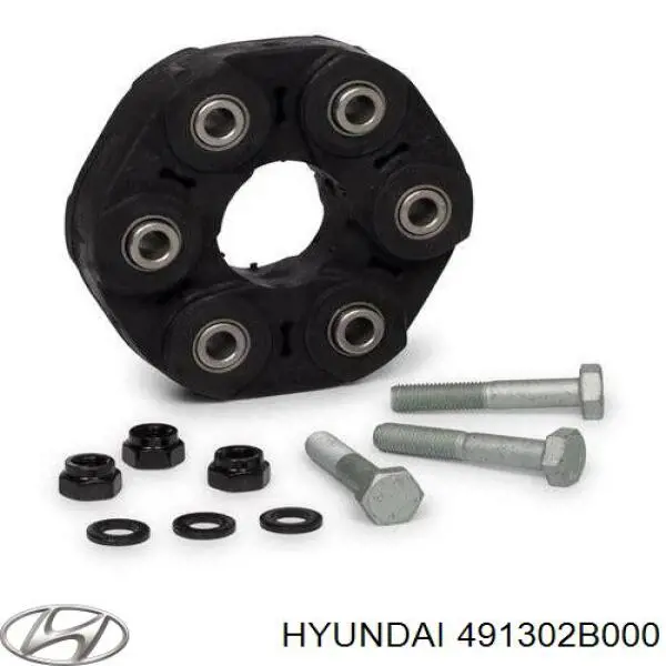 491302B000 Hyundai/Kia