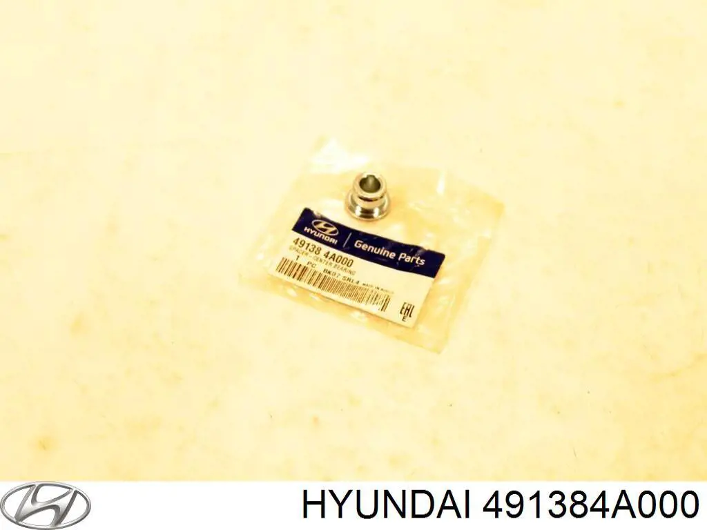 491384A000 Hyundai/Kia 