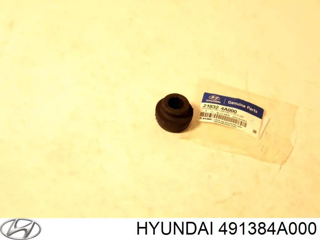  Hyundai/Kia 491384A000 цена, от 23.92 USD