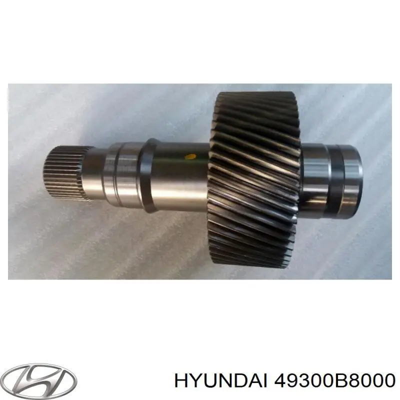  49300B8000 Hyundai/Kia