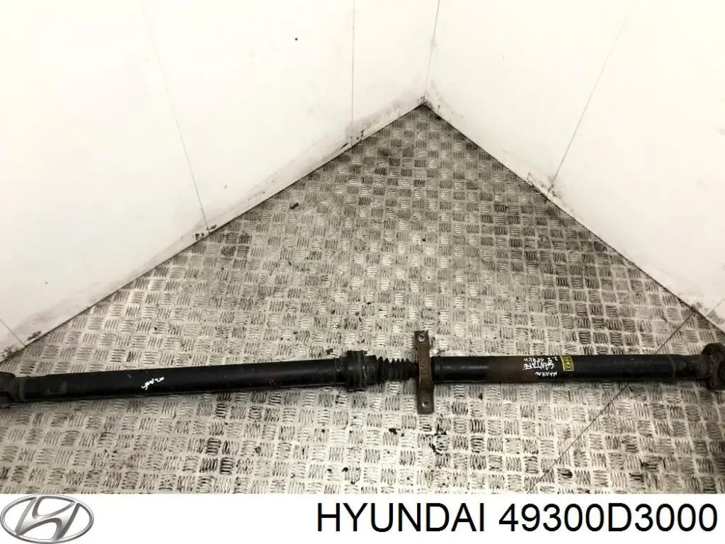 49300D3000 Hyundai/Kia 