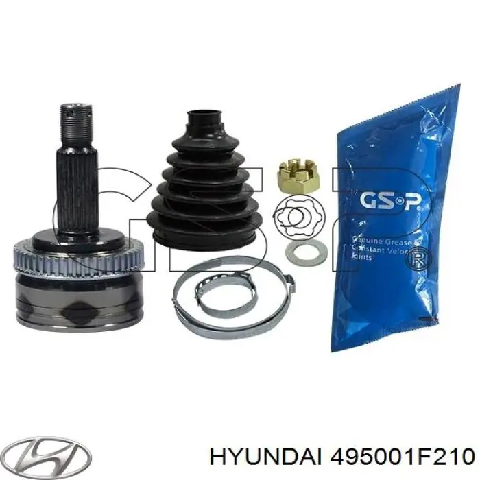  495001F210 Hyundai/Kia