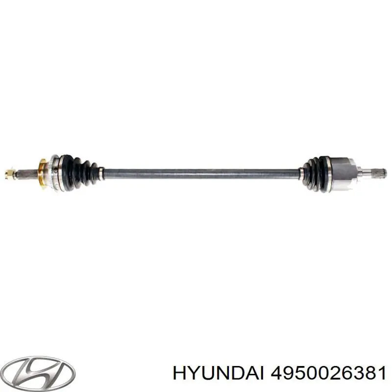  4950026381 Hyundai/Kia