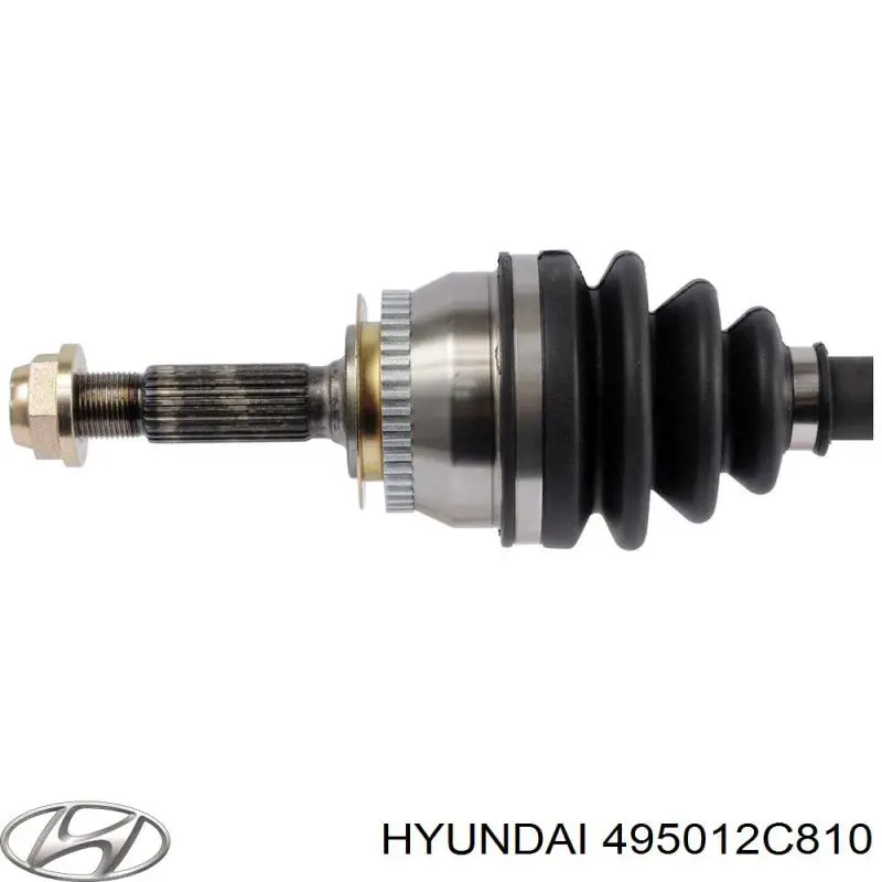  495012C810 Hyundai/Kia