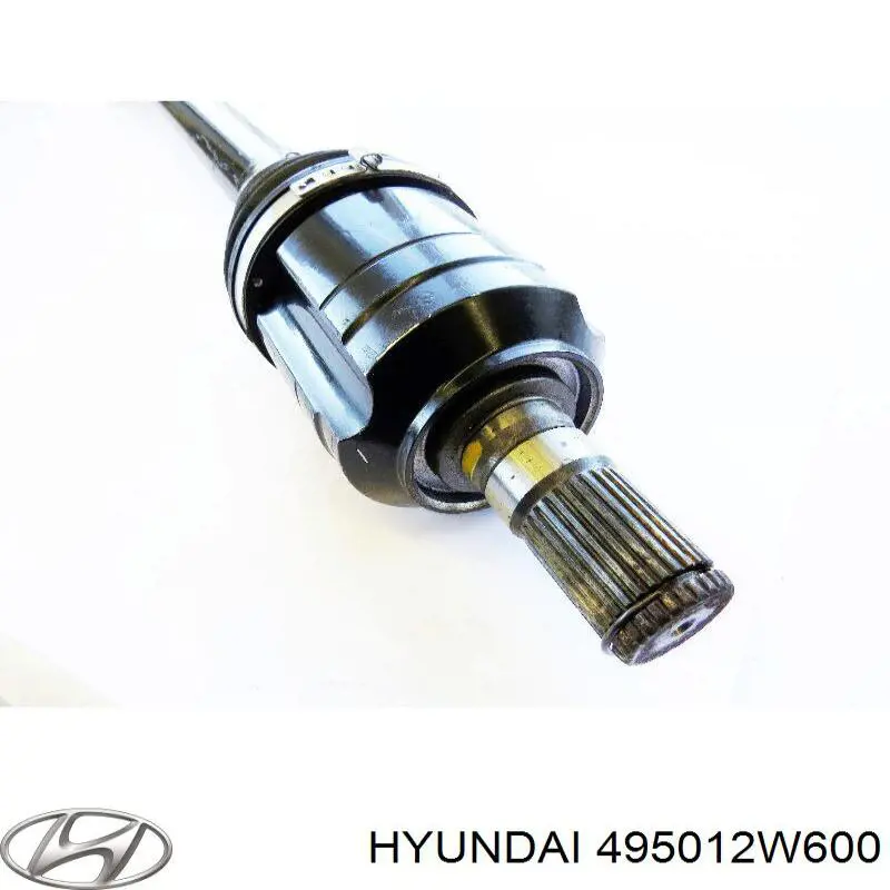  Hyundai/Kia 495012W600