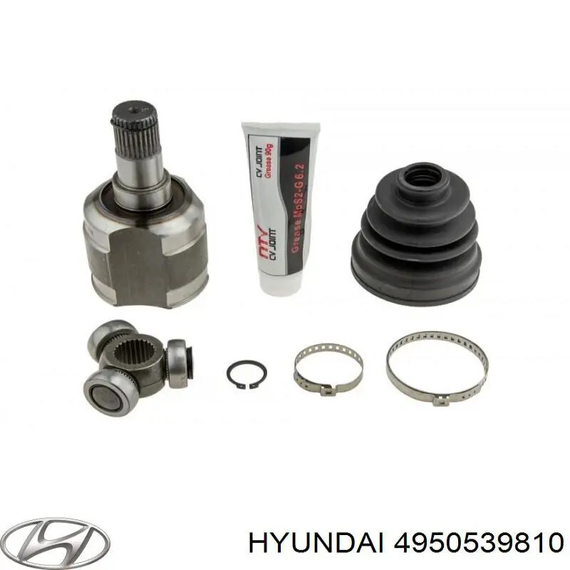  4950539810 Hyundai/Kia