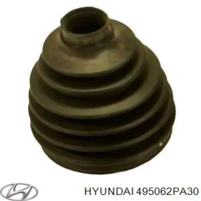 495062PA30 Hyundai/Kia 