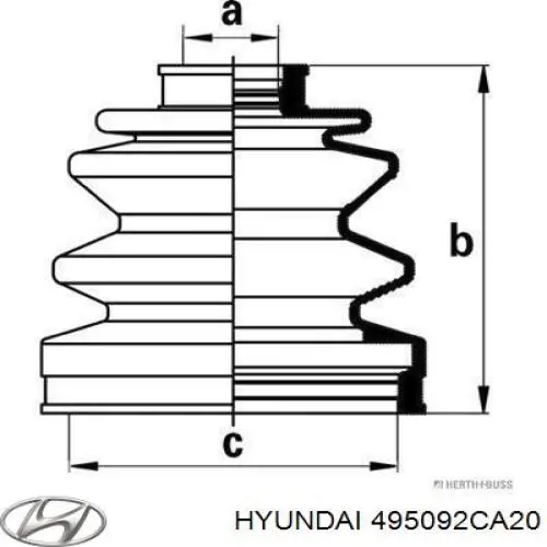 495092CA20 Hyundai/Kia