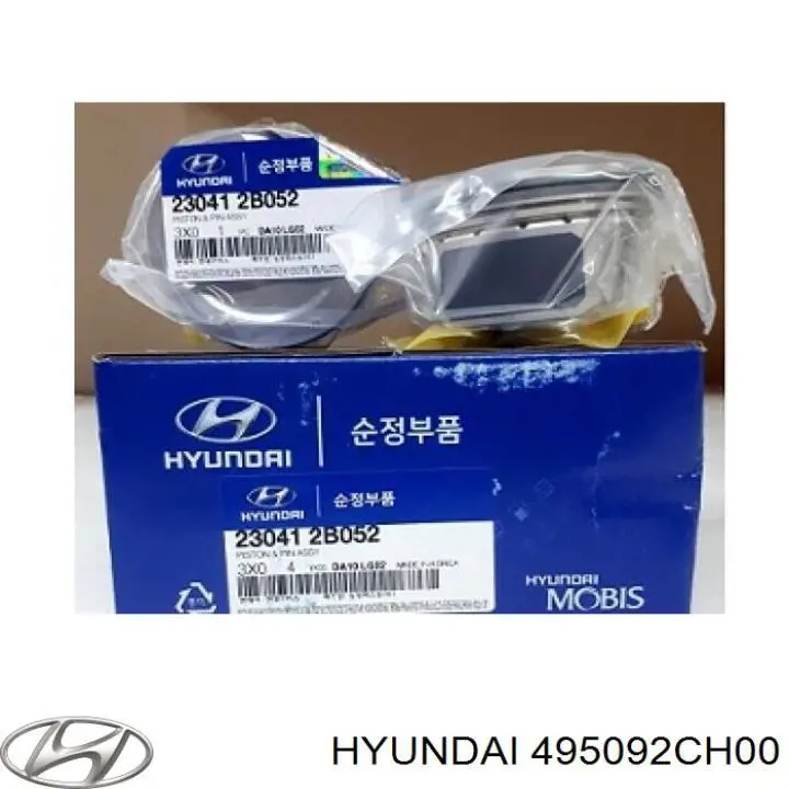 495092CH00 Hyundai/Kia