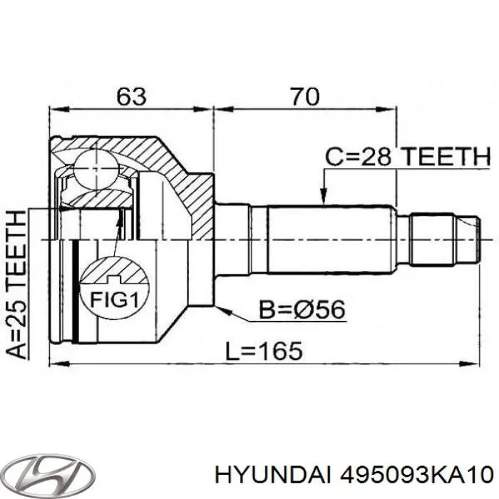 Пыльник ШРУСа передней полуоси наружный Hyundai/Kia 495093KA10