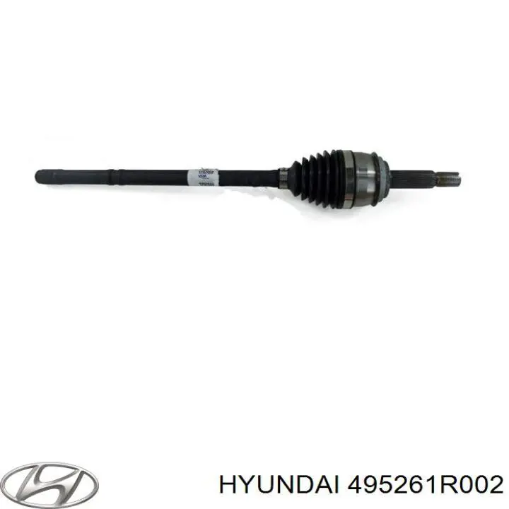  495261R002 Hyundai/Kia