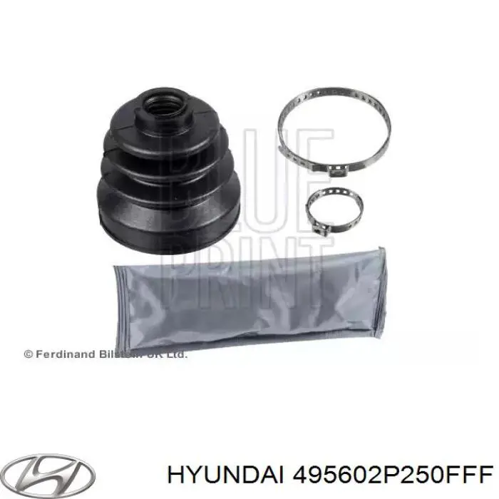  495602P250FFF Hyundai/Kia