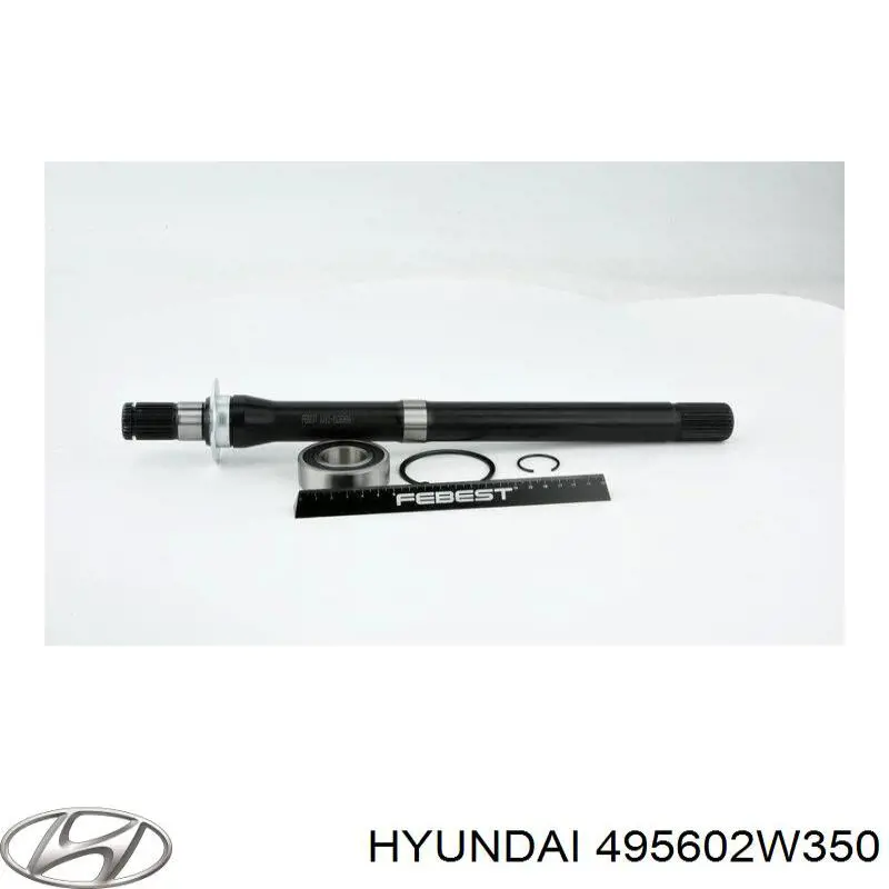 495602W350 Hyundai/Kia 