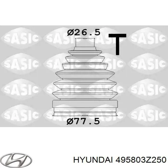  495803Z250 Hyundai/Kia