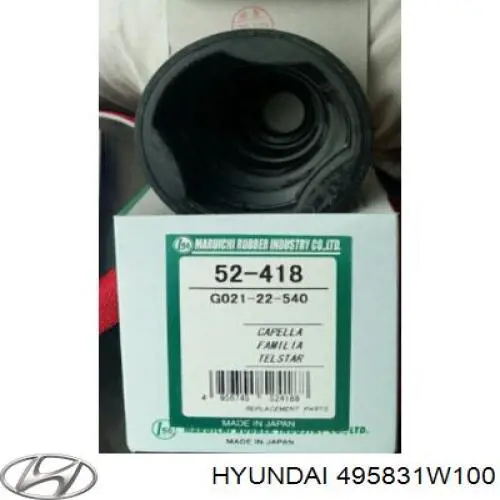  495831W100 Hyundai/Kia