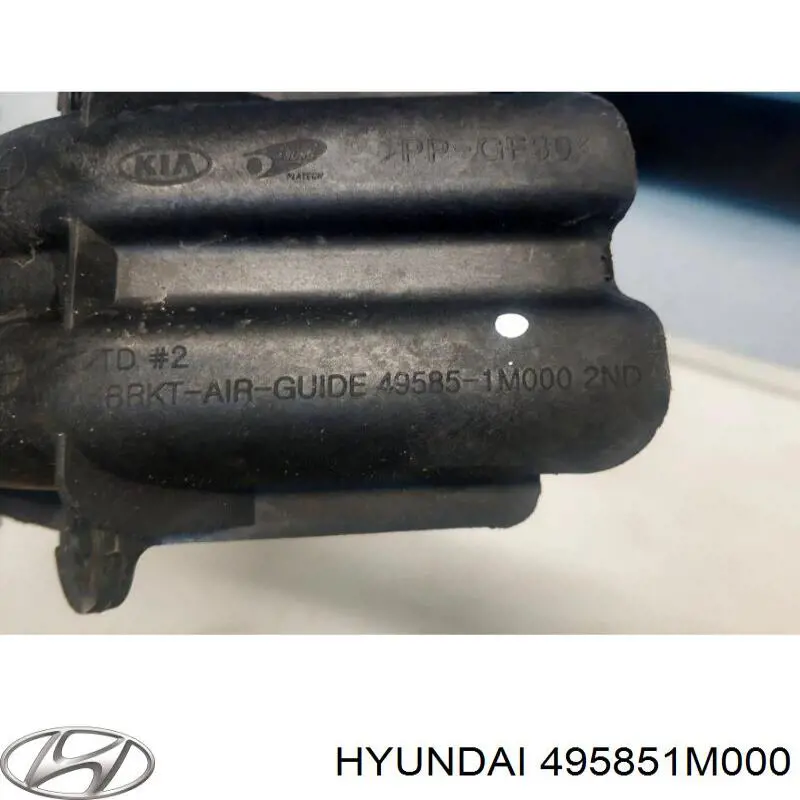  495851M000 Hyundai/Kia
