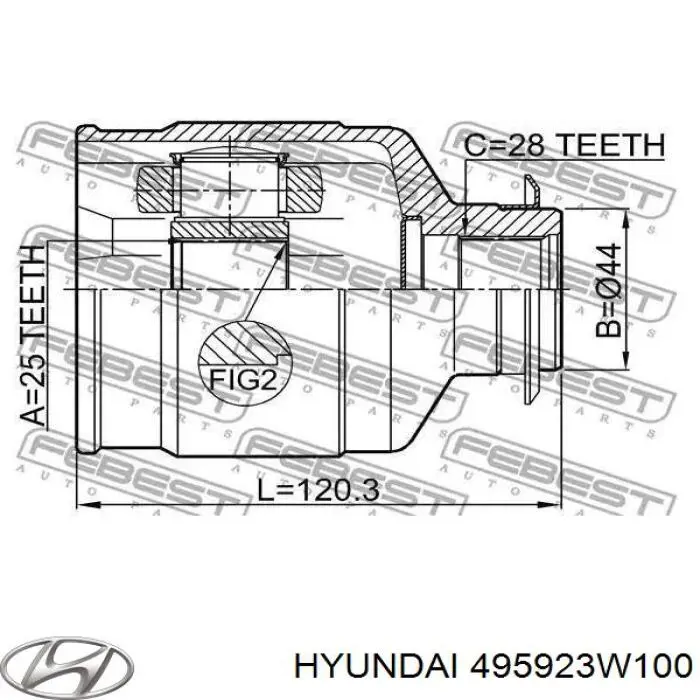 495923W100 Hyundai/Kia Граната внутренняя передняя правая