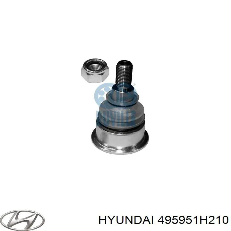 Купить 495951H210 Hyundai/Kia Пыльник гранаты внутренний, передней полуоси