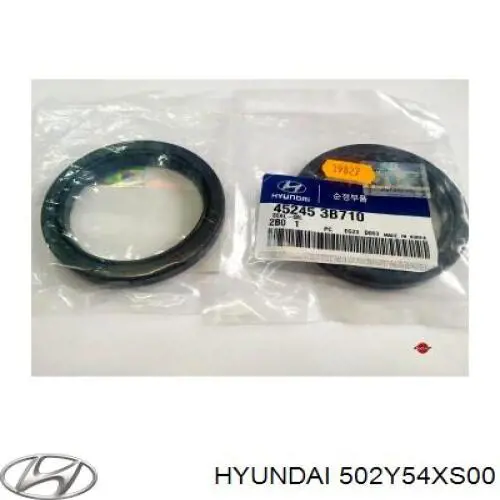 221004X911 Hyundai/Kia cabeça de motor (cbc)