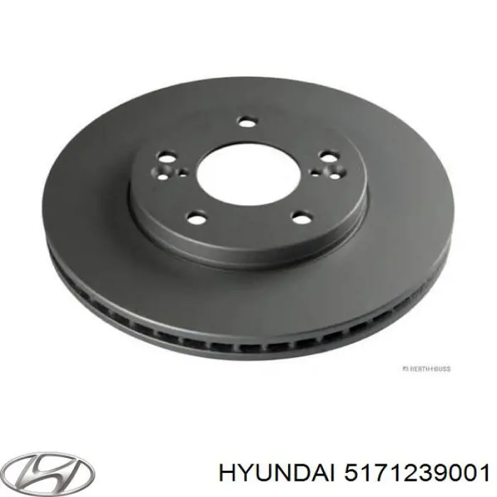 Купить 5171239001 Hyundai/Kia Ротор тормозной