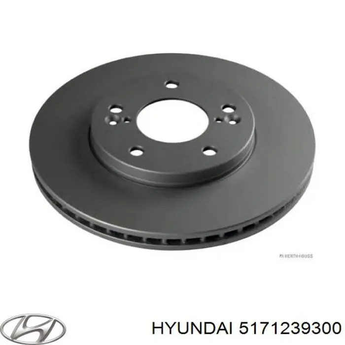 Тормоз дисковый передний Hyundai/Kia 5171239300 цена, от 37.82 USD